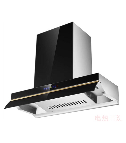 廣東皇冠廚衛(wèi)電器有限公司